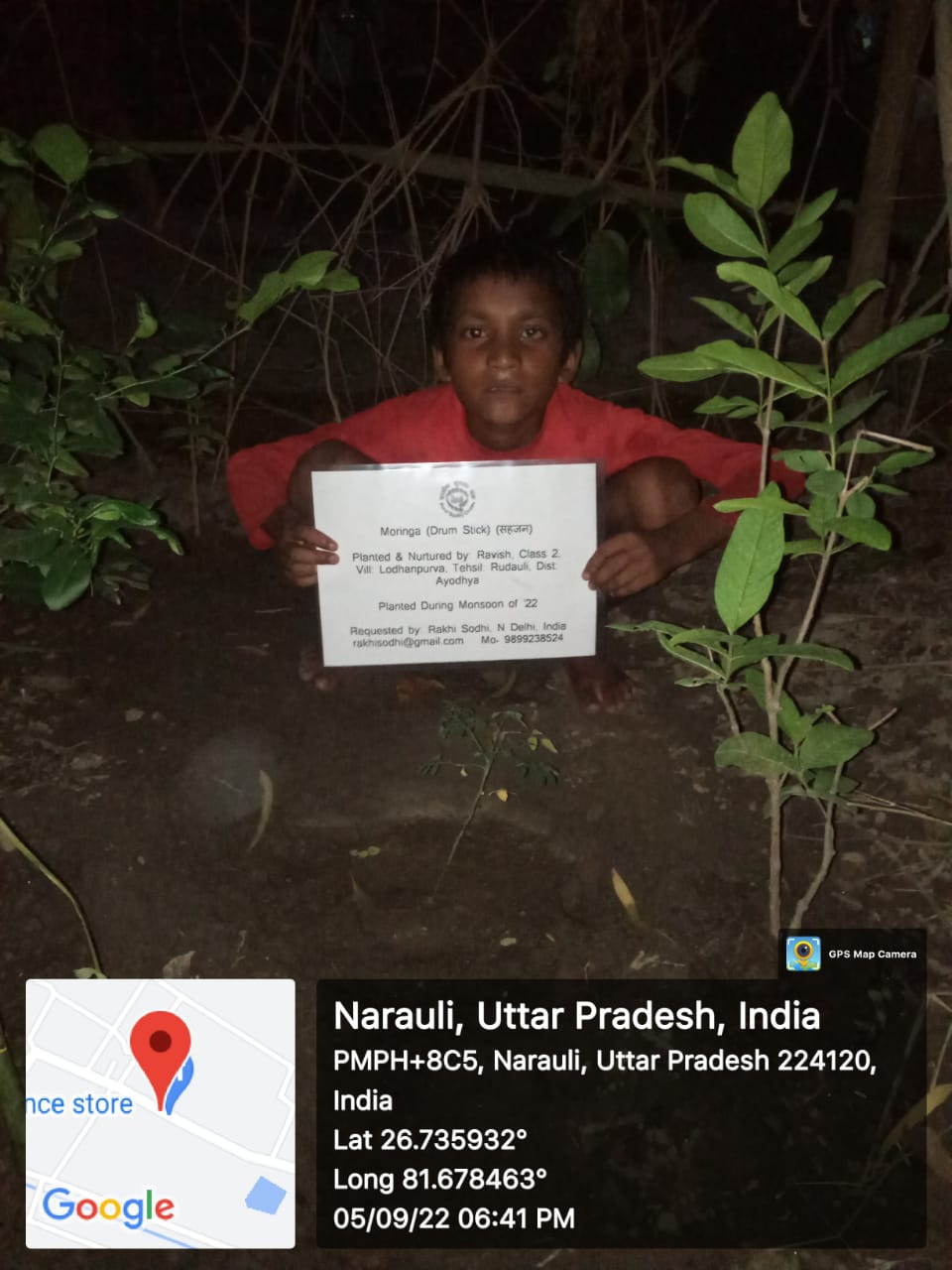 Moringa (Drum Stick) (सहजन) Tree Taken Care By: Ravish