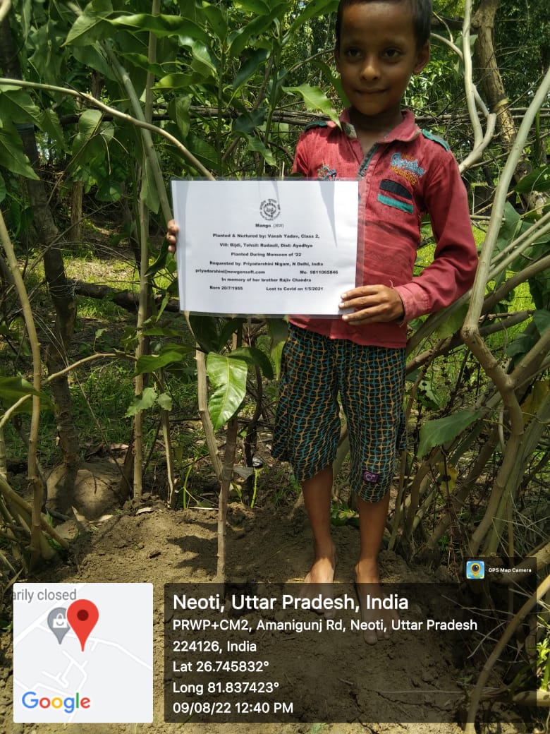 Mango (आम) Tree Taken Care By: Vansh Yadav