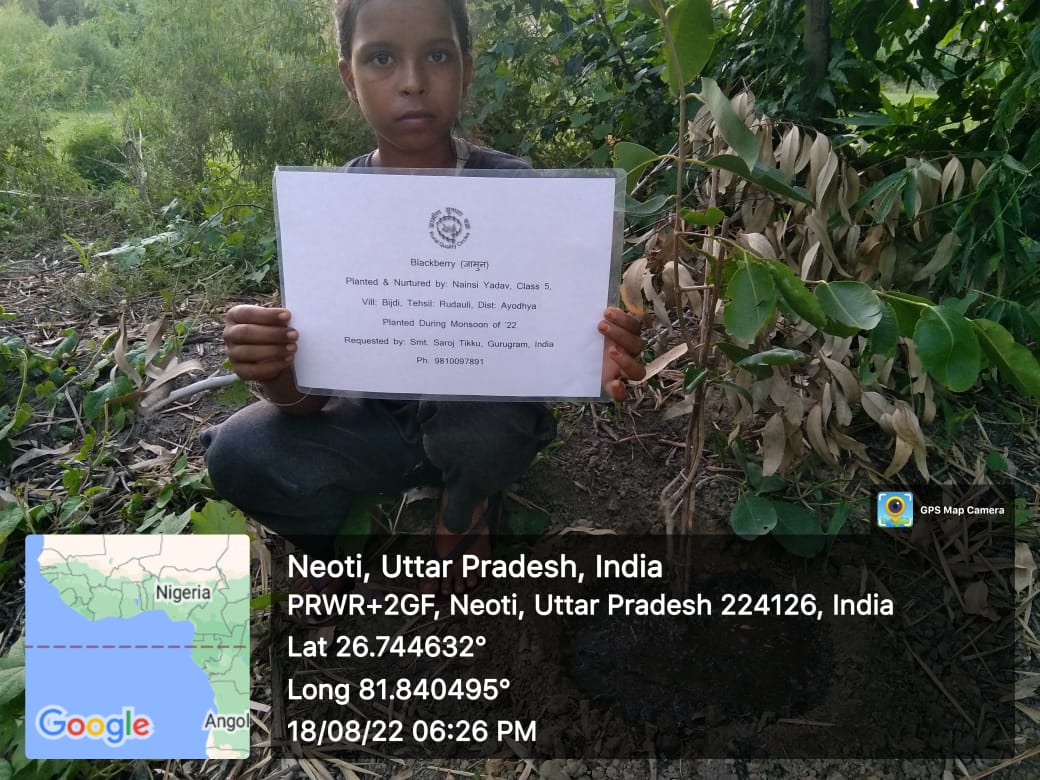 Blackberry (जामून) Tree Taken Care By: Nancy