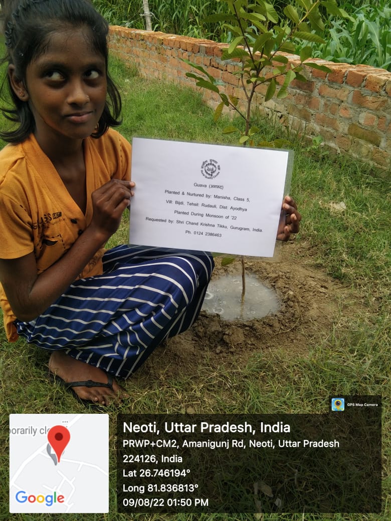 Guava (अमरूद) Tree Taken Care By: Manisha