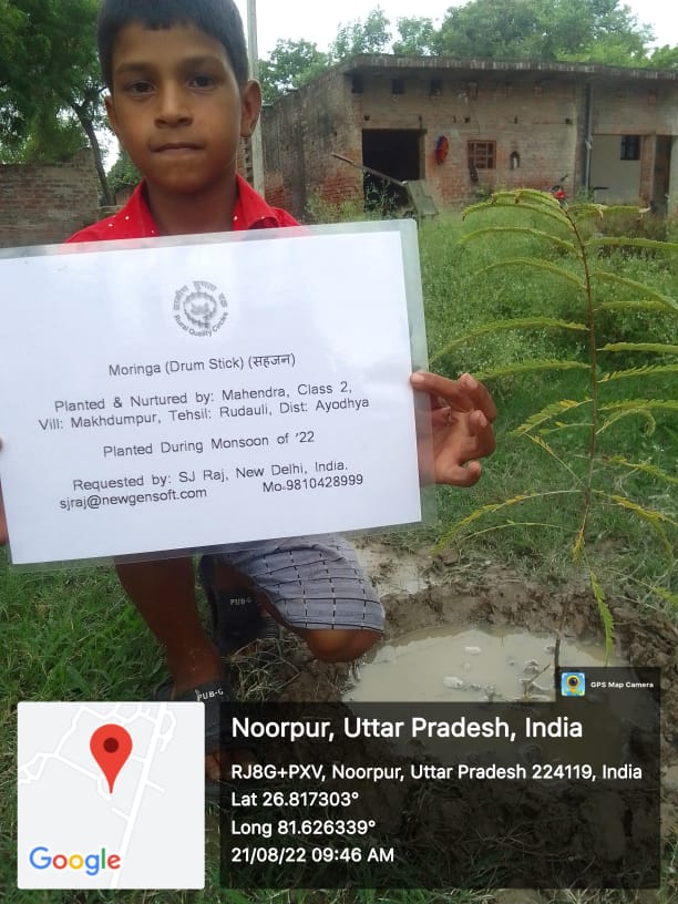 Moringa (Drum Stick) (सहजन) Tree Taken Care By: Mahendra