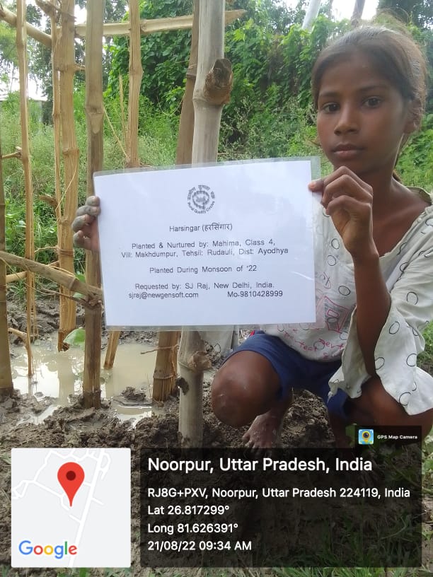 Harsingar (हरसिंगार, पारिजात) Tree Taken Care By: Mahima