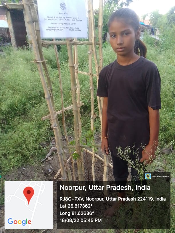 Neem (नीम) Tree Taken Care By: Sonam