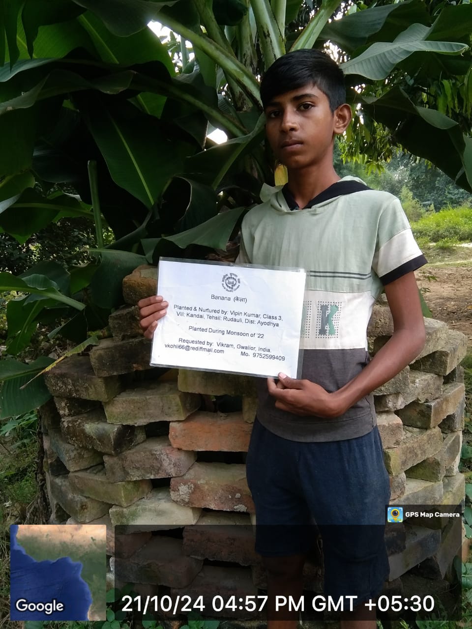 Banana (केला) Tree Taken Care By: Vipin Kumar