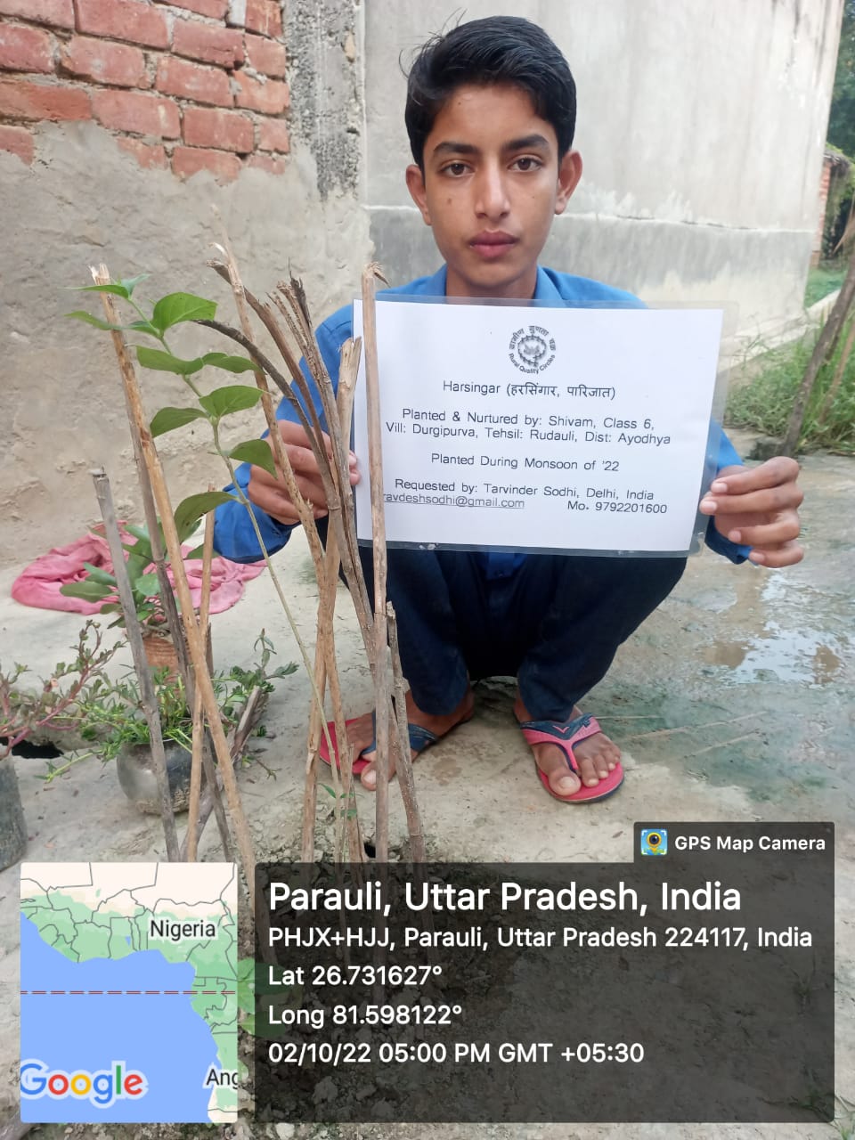 Harsingar (हरसिंगार, पारिजात) Tree Taken Care By: Shivam