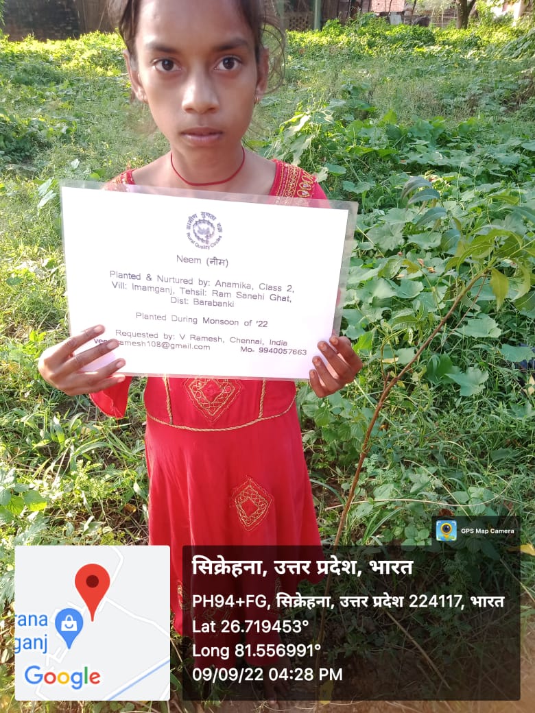 Neem (नीम) Tree Taken Care By: Anamika