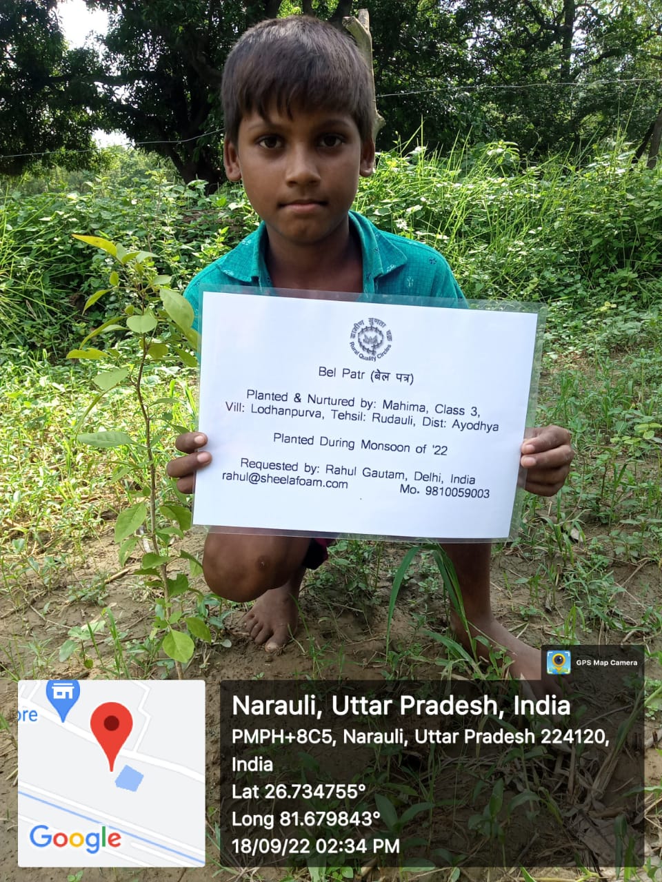 Wood Apple (बेल) Tree Taken Care By: Mahima