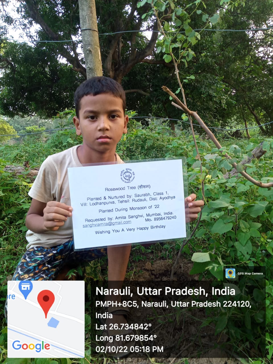 Rosewood Tree (शीशम) Tree Taken Care By: Saurav