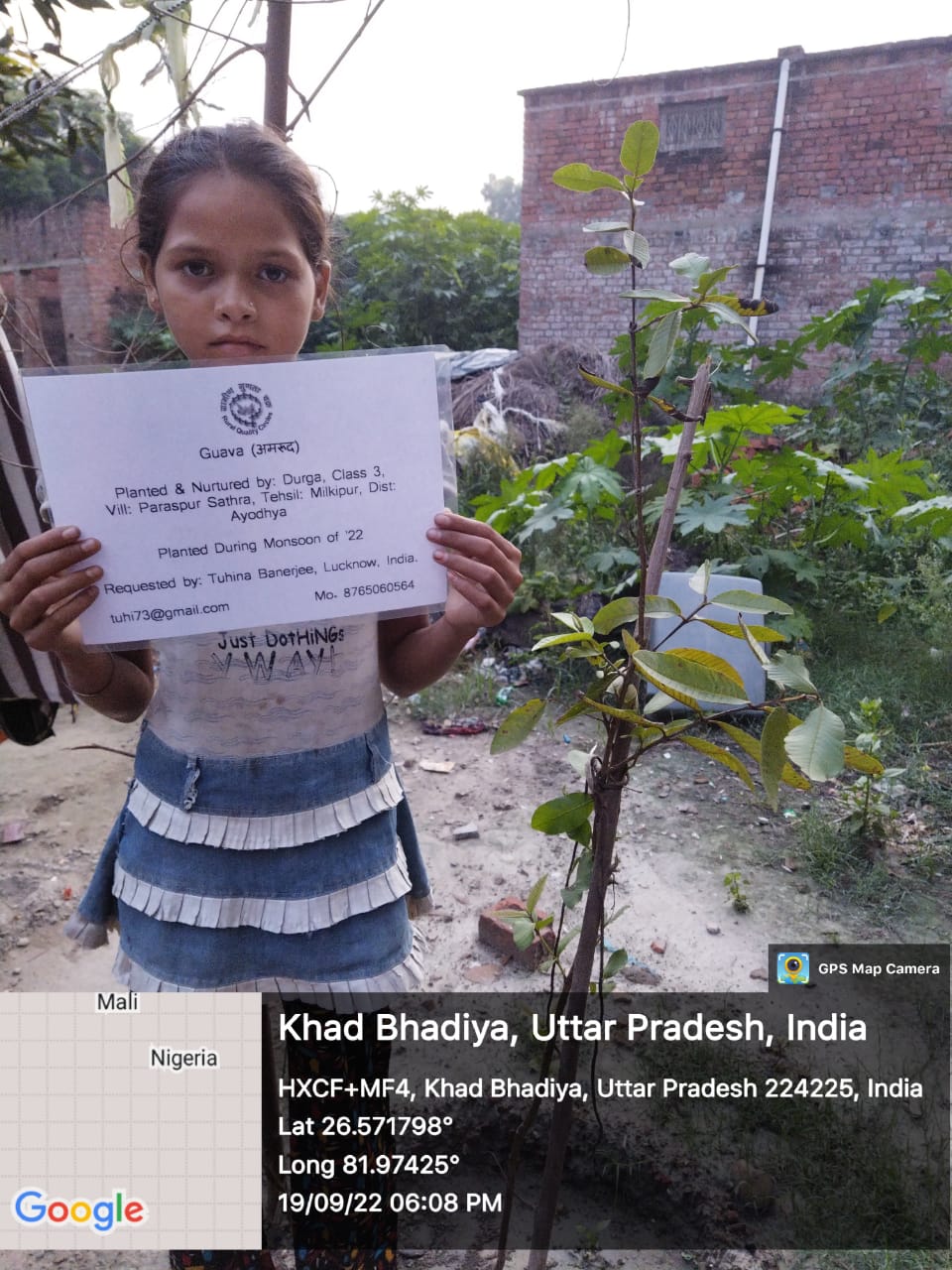 Guava (अमरूद) Tree Taken Care By: Durga