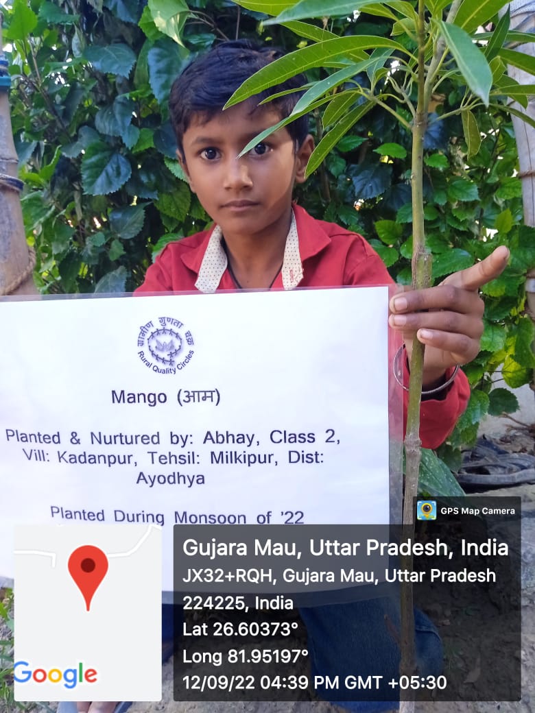 Mango (आम) Tree Taken Care By: Abhay