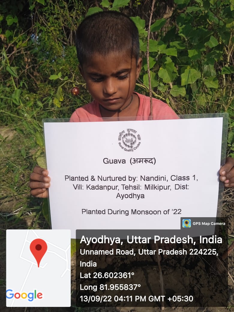 Guava (अमरूद) Tree Taken Care By: Nandini