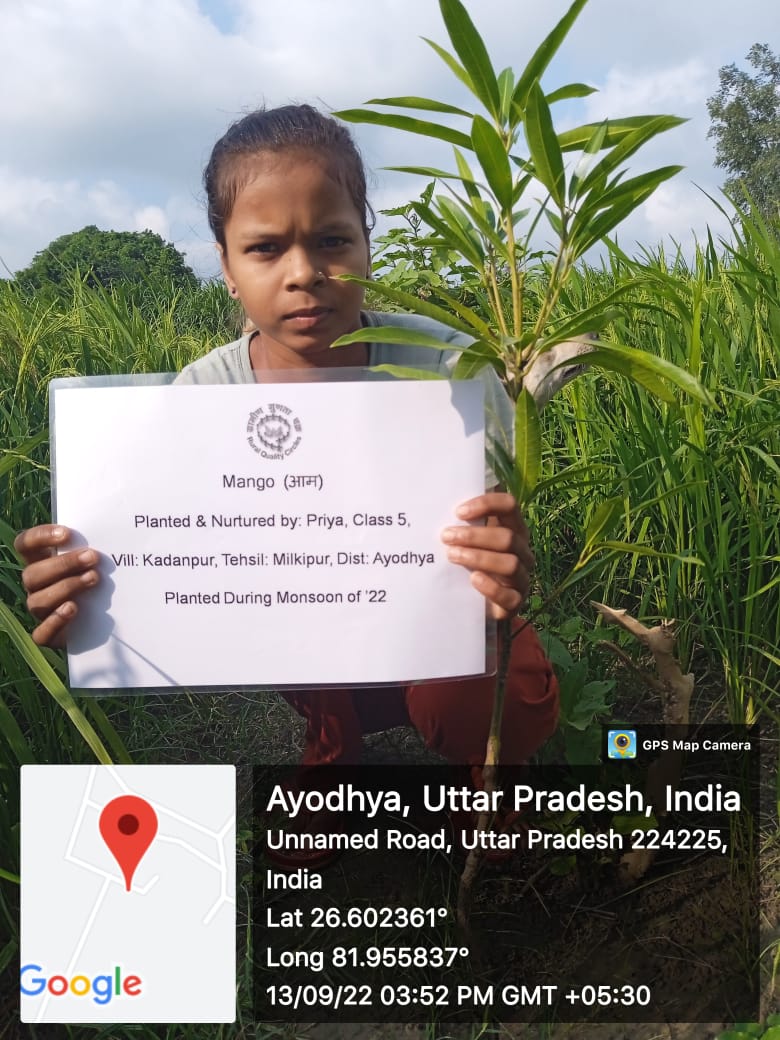 Mango (आम) Tree Taken Care By: Priya