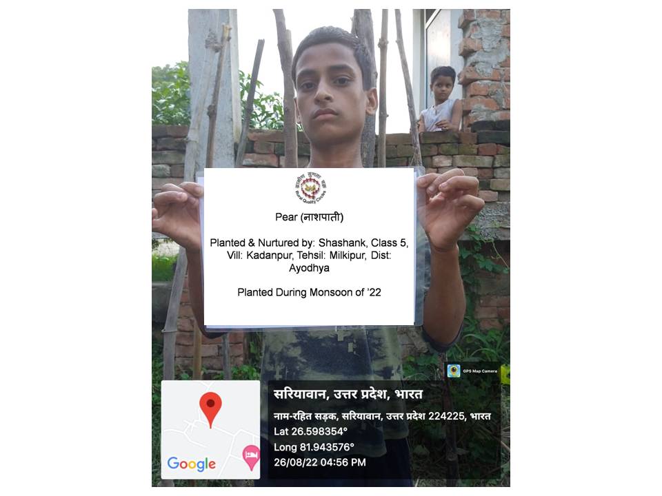 Pear (नाशपाती) Tree Taken Care By: Shashank