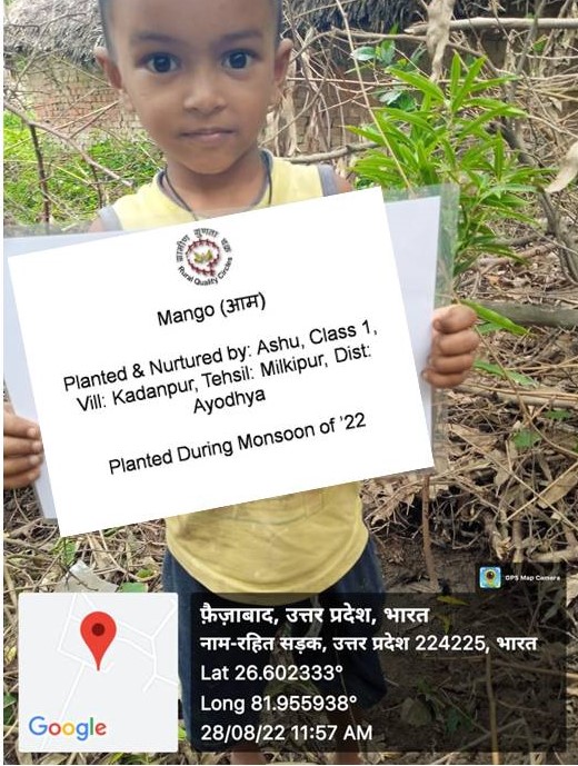 Mango (आम) Tree Taken Care By: Ashu