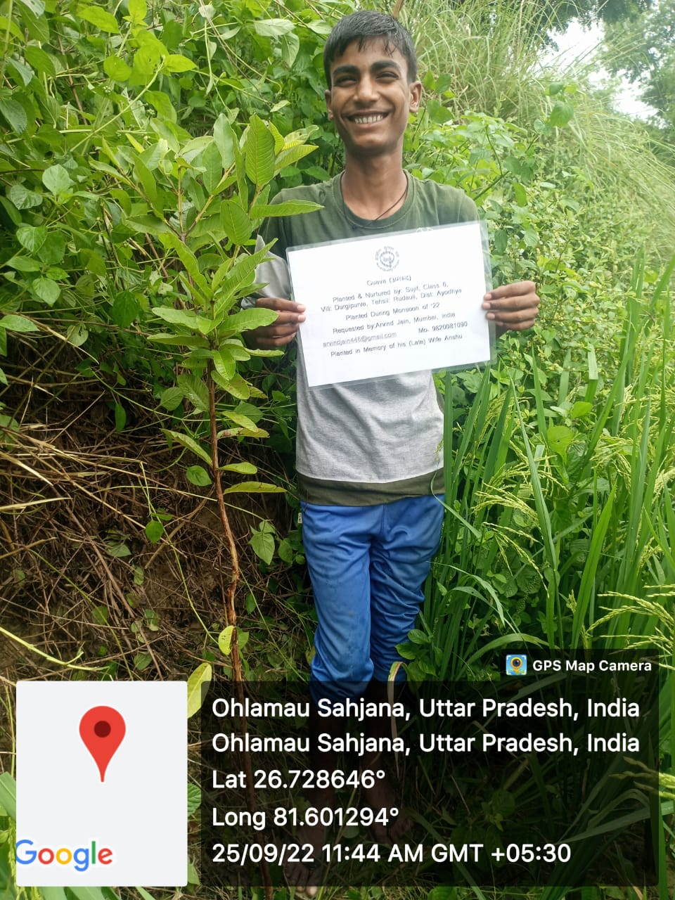 Guava (अमरूद) Tree Taken Care By: Sujit
