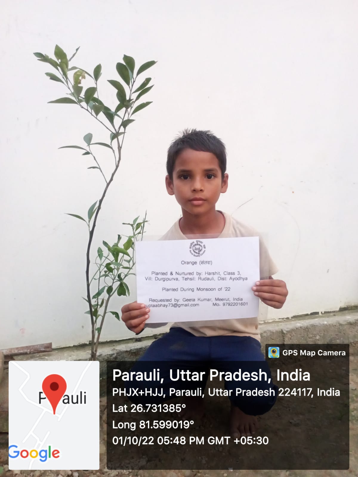 Orange (नारंगी) Tree Taken Care By: Harshit