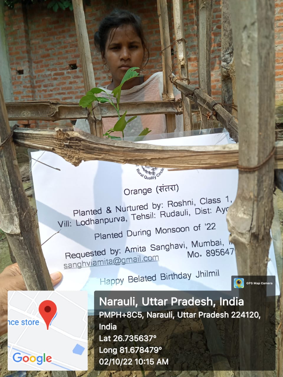 Orange (नारंगी) Tree Taken Care By: Roshni