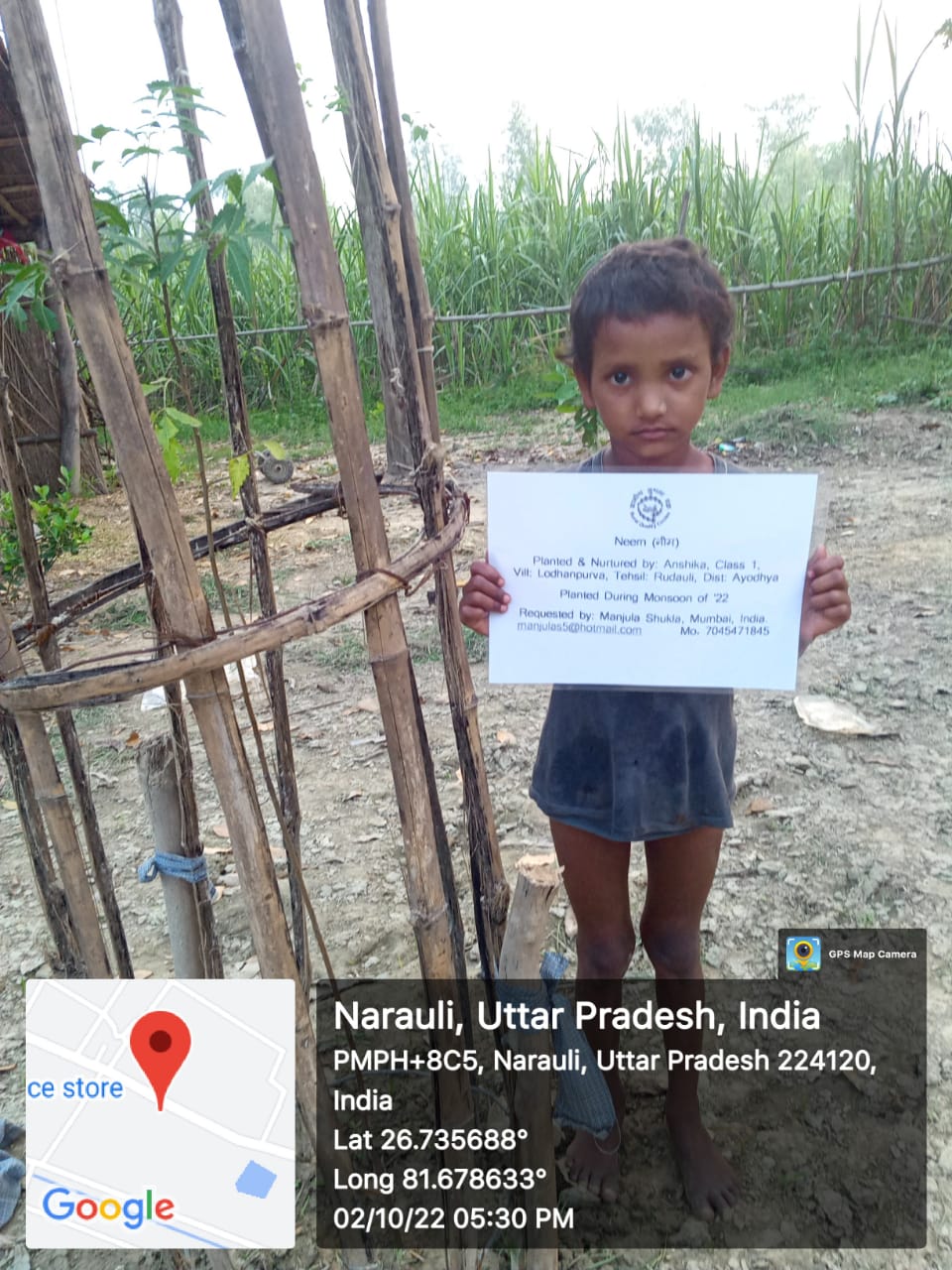 Neem (नीम) Tree Taken Care By: Anshika