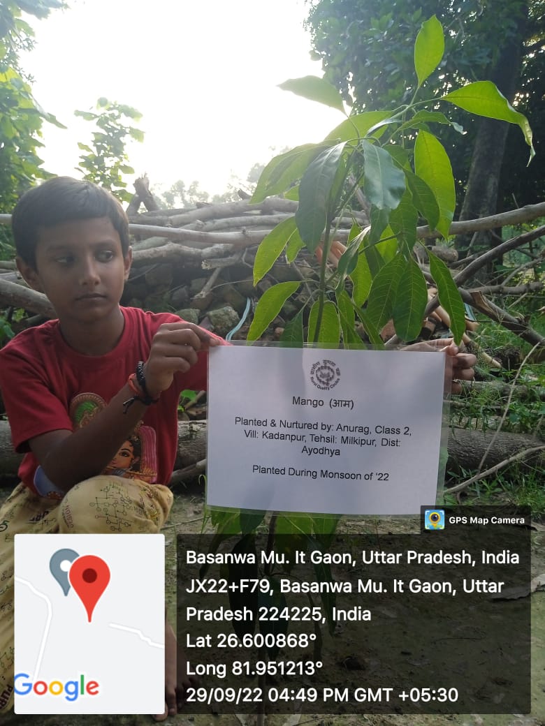 Mango (आम) Tree Taken Care By: Anurag