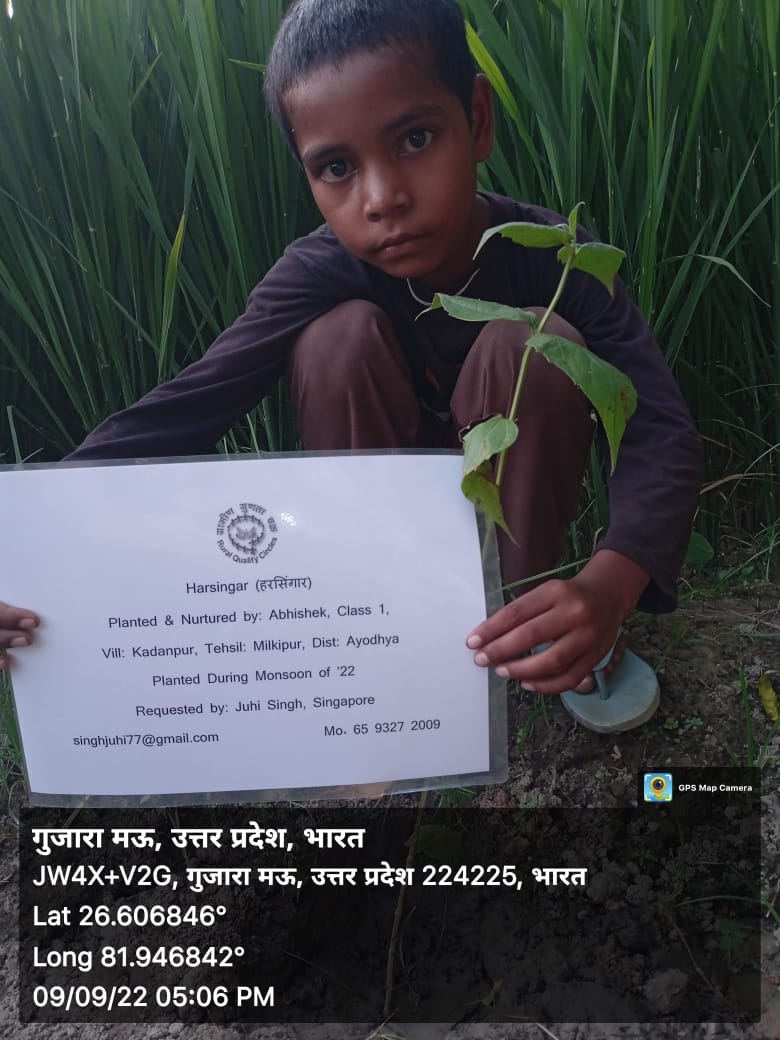 Harsingar (हरसिंगार, पारिजात) Tree Taken Care By: Abhishek