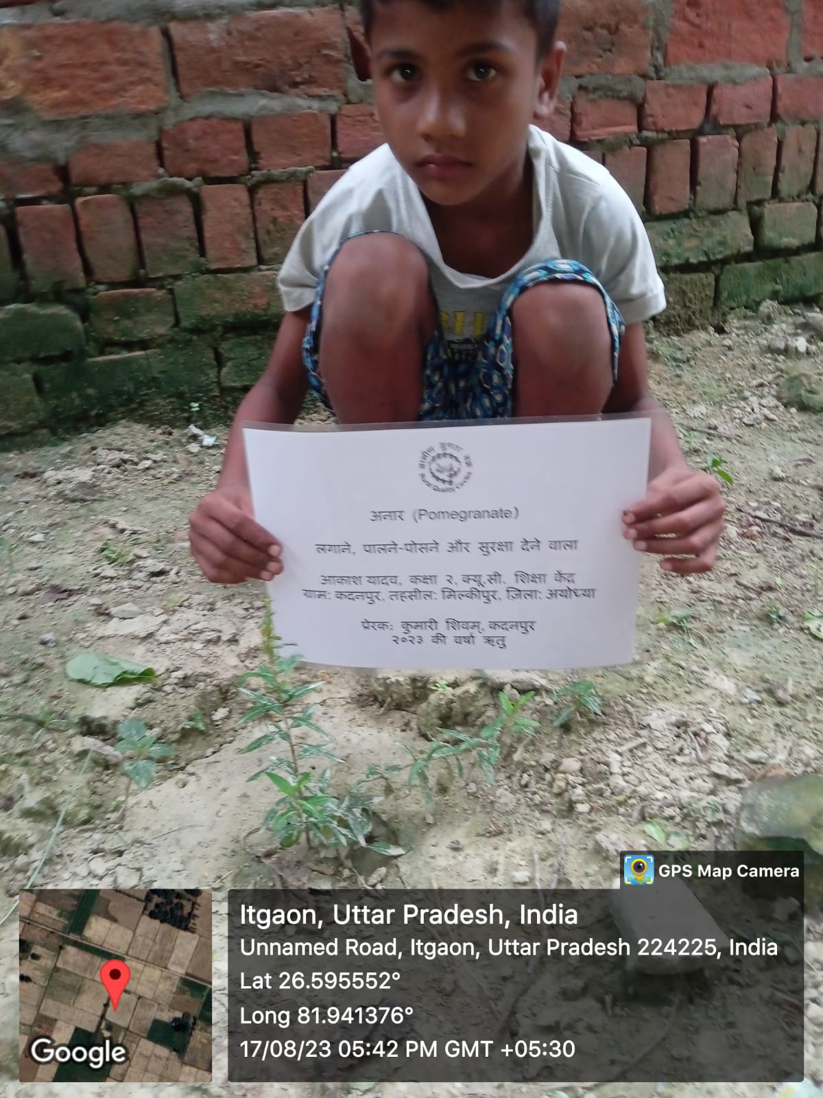 Pomegranate (अनार) Tree Taken Care By: Akash Yadav