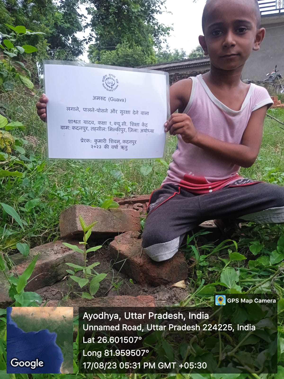 Guava (अमरूद) Tree Taken Care By: Shashwat Yadav