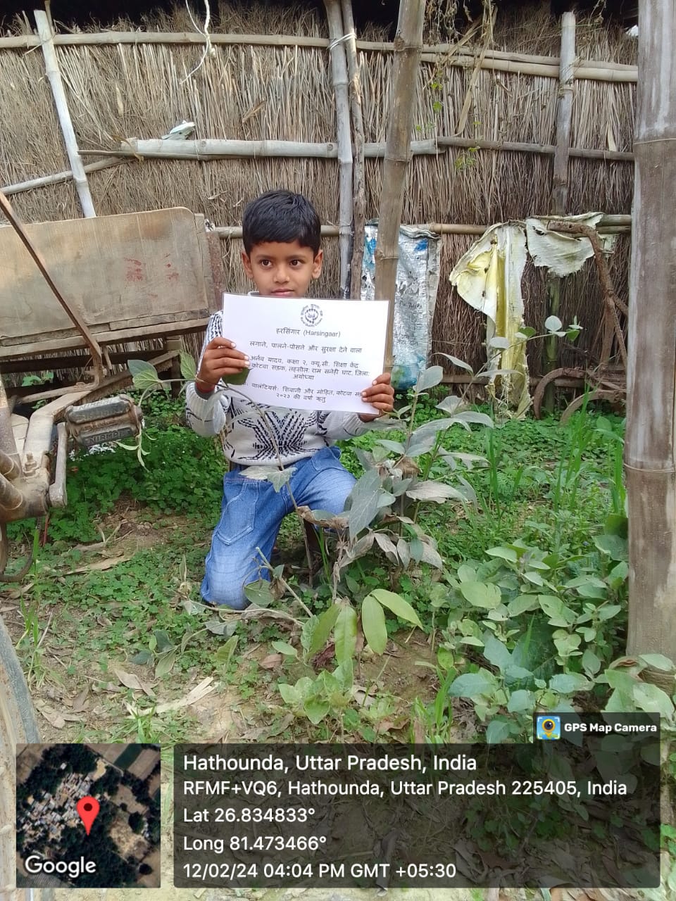 Harsingar (हरसिंगार, पारिजात) Tree Taken Care By: Arnav Yadav