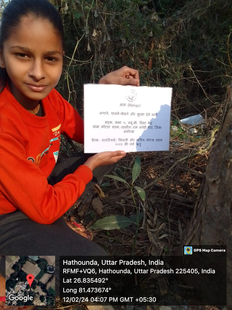 Mango (आम) Tree Taken Care By: Mehak