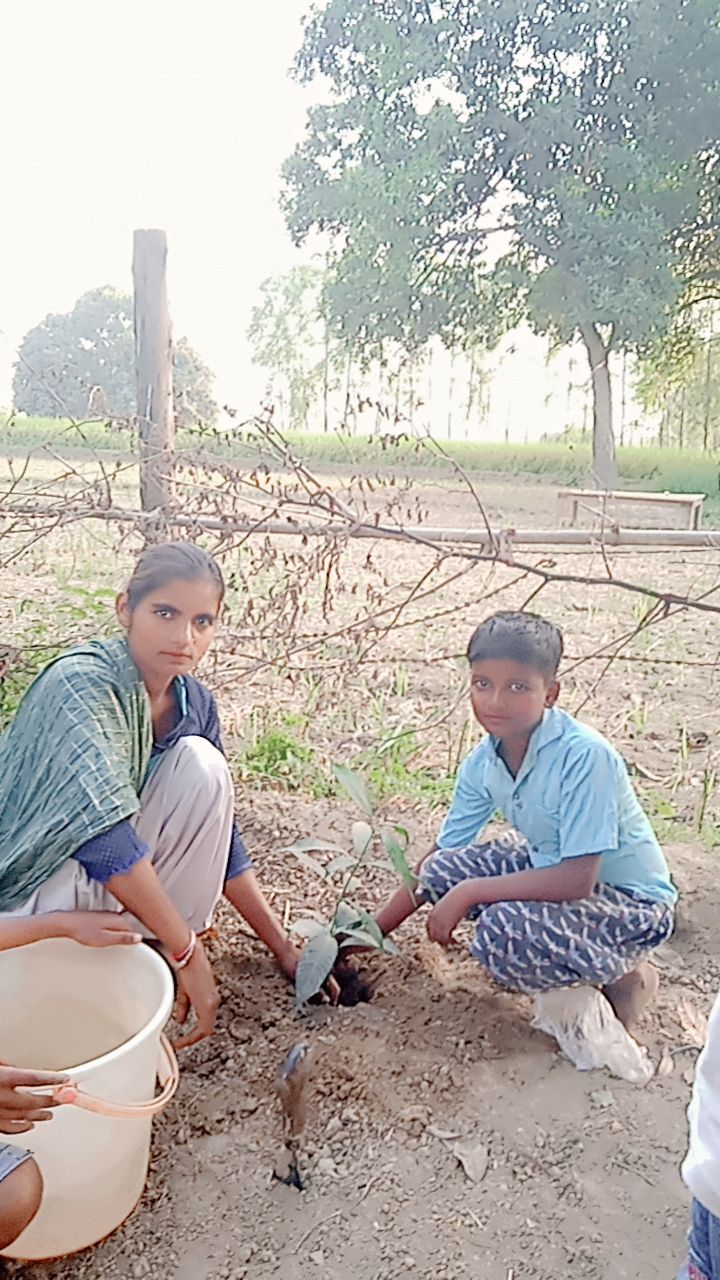 Mango (आम) Tree Taken Care By: Arpit pal