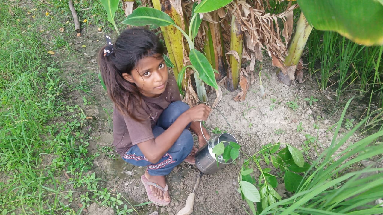 Amar (अमर) Tree Taken Care By: Naina