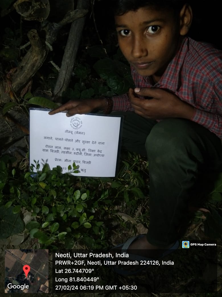 Lemon (नींबू) Tree Taken Care By: Roshan Lal