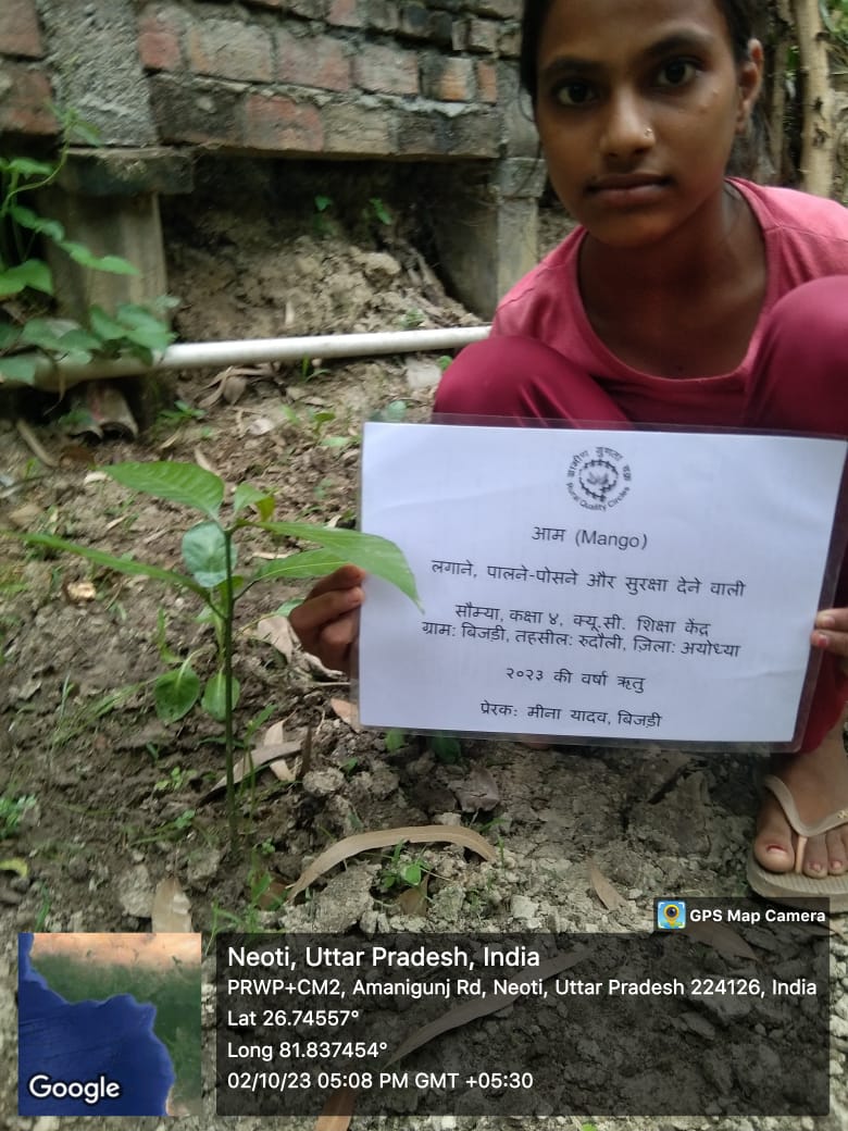 Mango (आम) Tree Taken Care By: Saumya