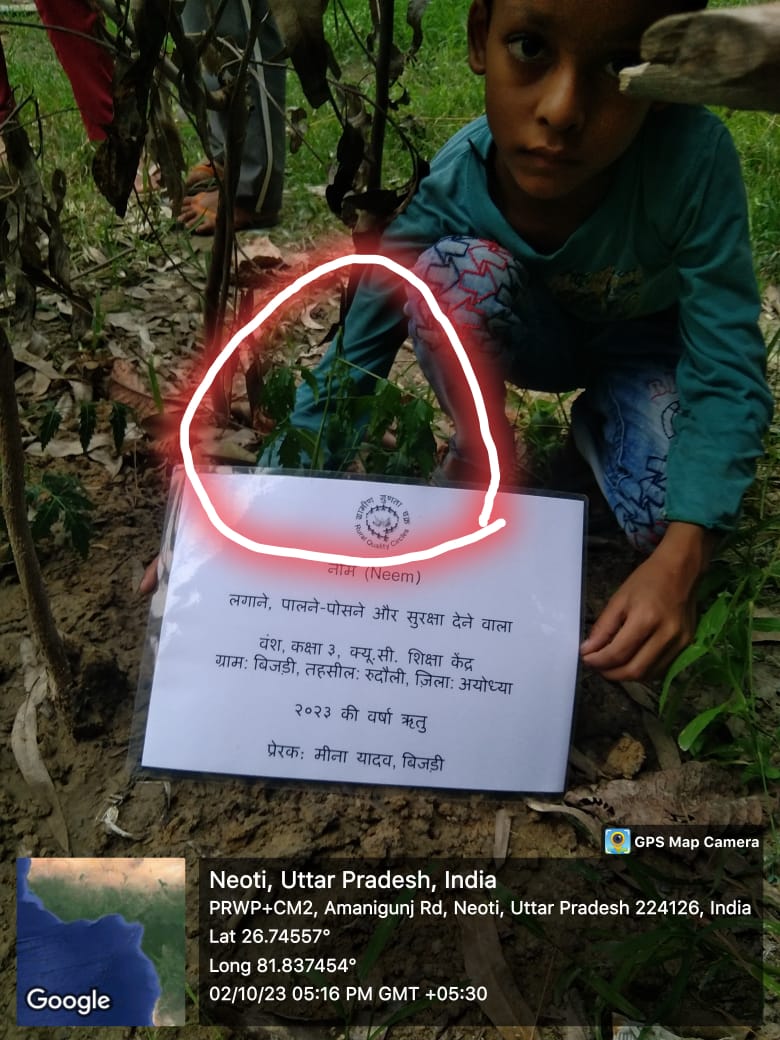 Neem (नीम) Tree Taken Care By: Vansh