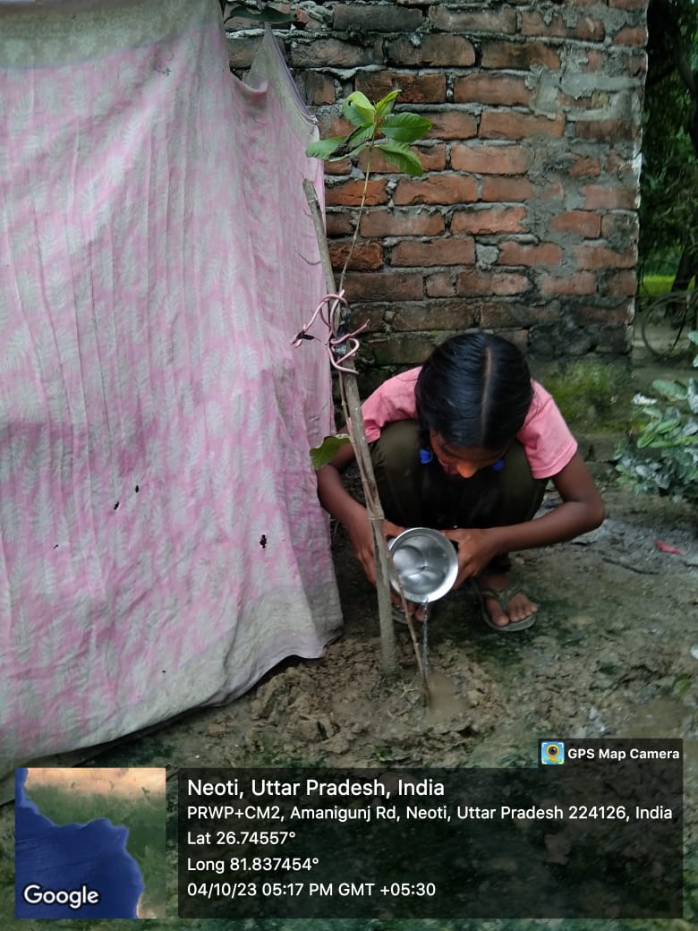 Guava (अमरूद) Tree Taken Care By: Keerti