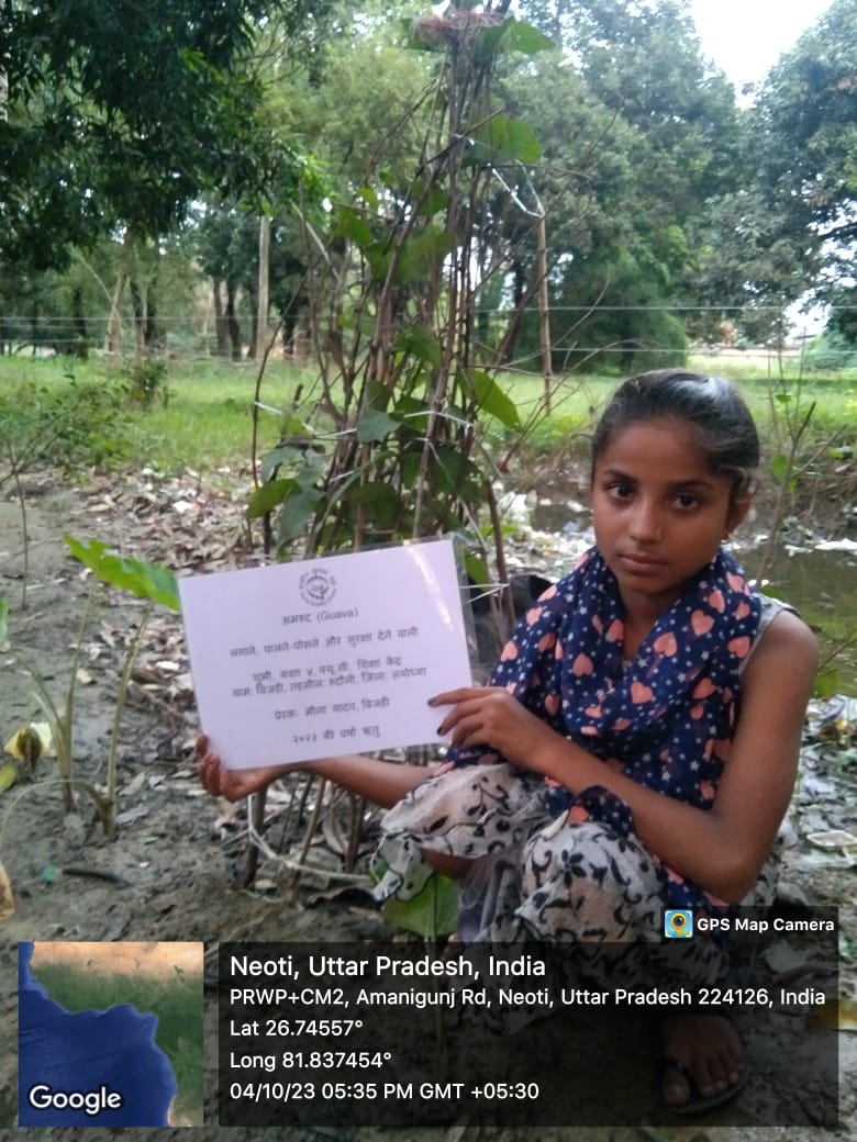 Guava (अमरूद) Tree Taken Care By: Shubhi