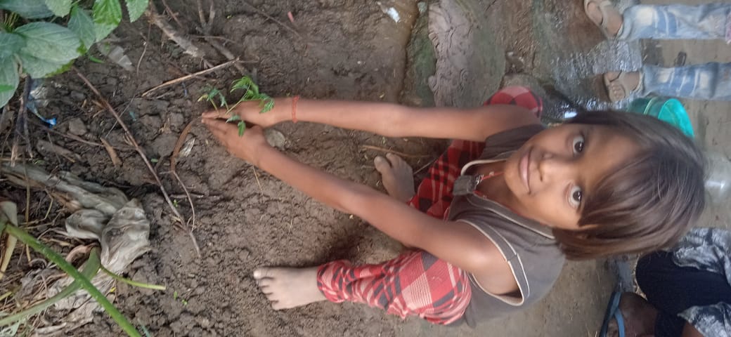Neem (नीम) Tree Taken Care By: Swati Yadav