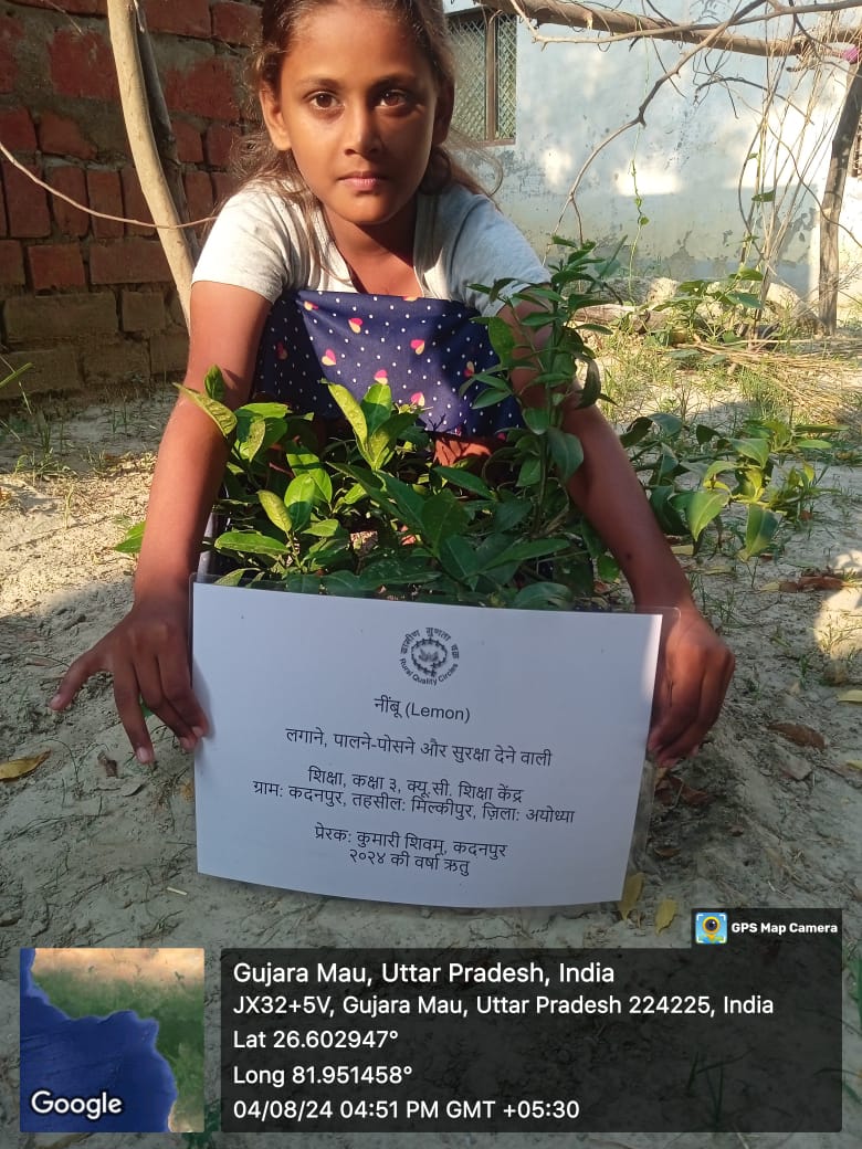 Lemon (नींबू) Tree Taken Care By: Shiksha