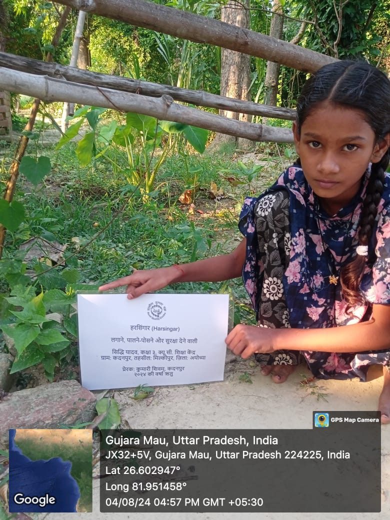 Harsingar (हरसिंगार, पारिजात) Tree Taken Care By: Siddhi Yadav
