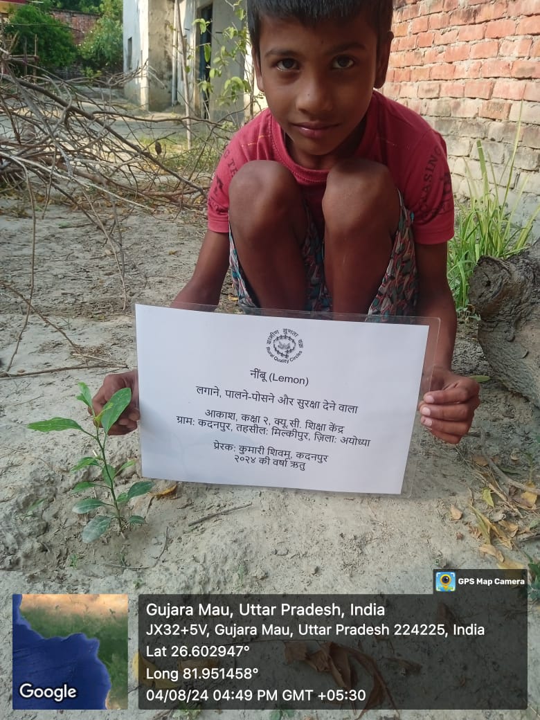 Lemon (नींबू) Tree Taken Care By: Akash