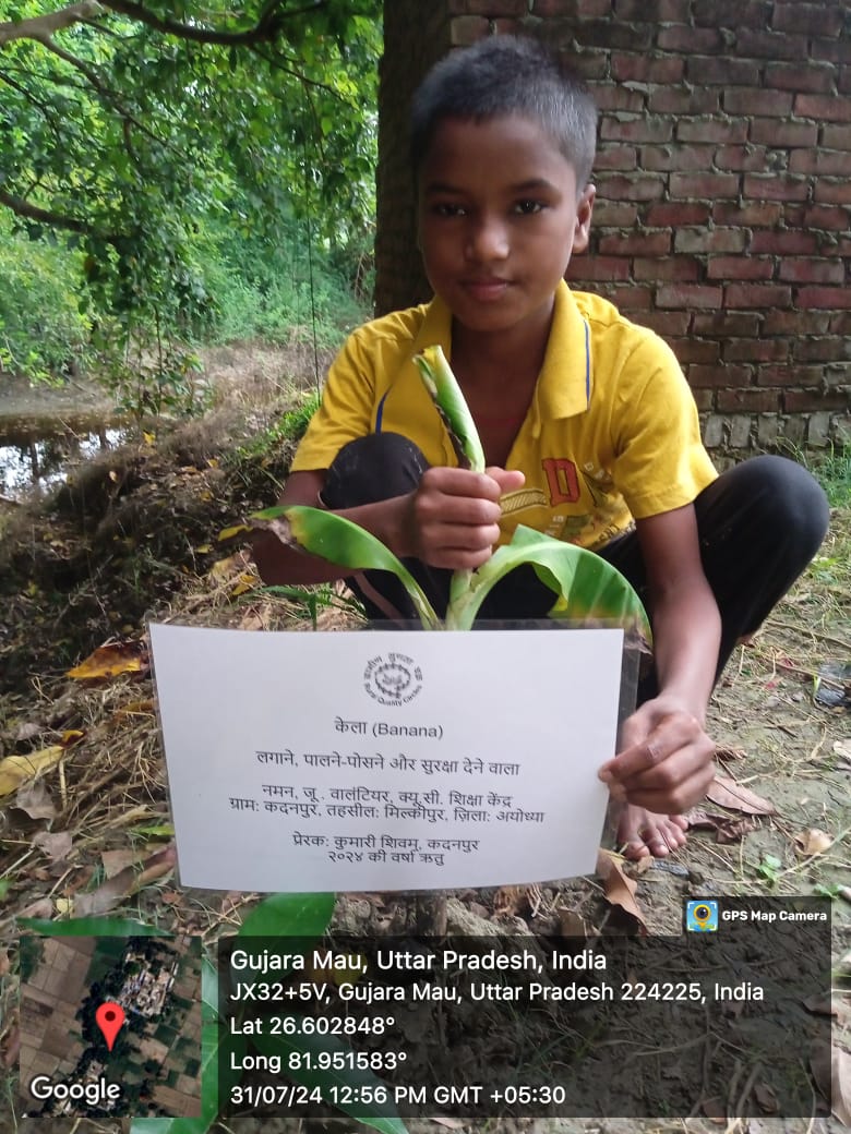 Banana (केला) Tree Taken Care By: Naman