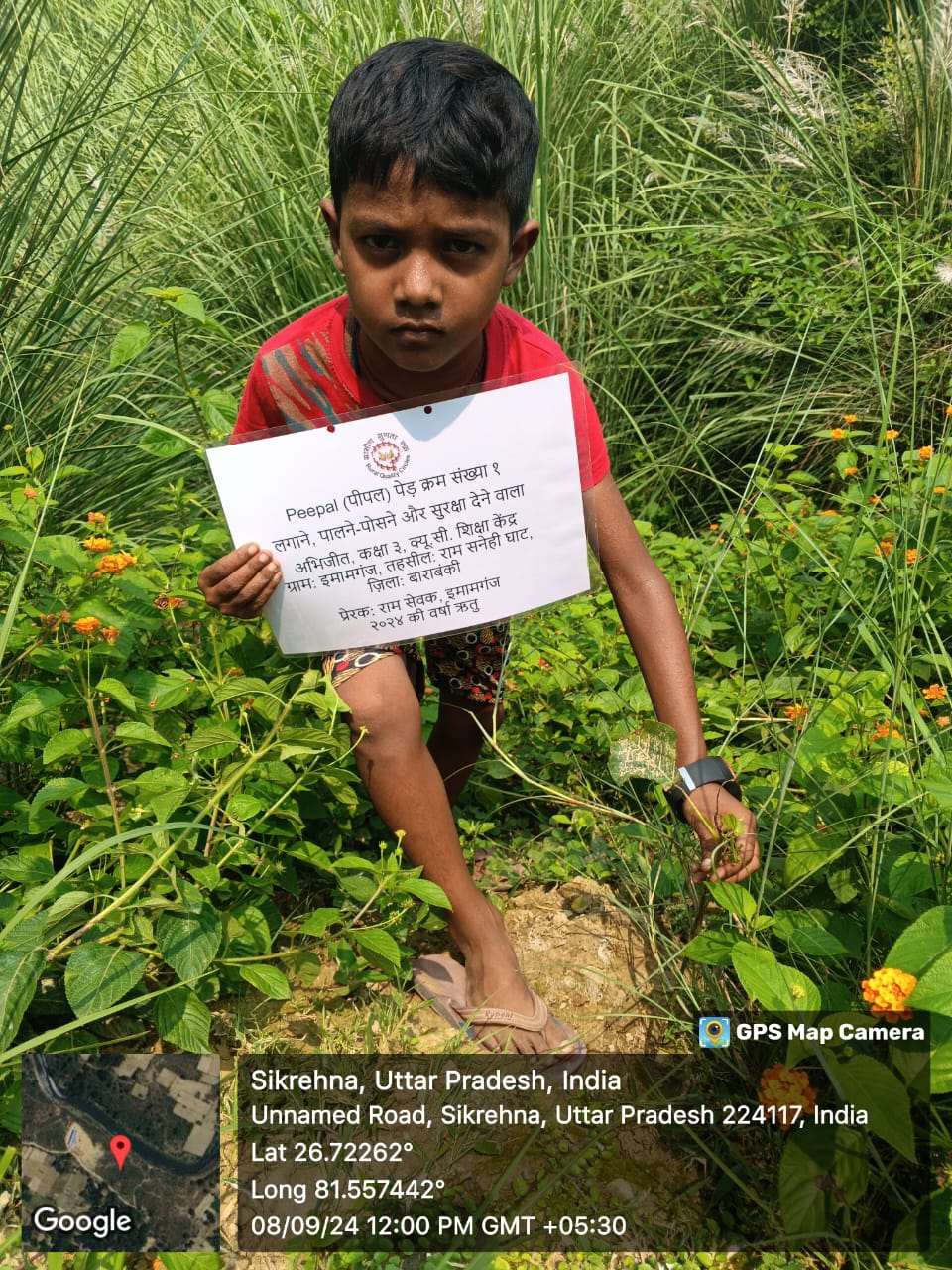 Peepal (पीपल) Tree Taken Care By: Abhijit