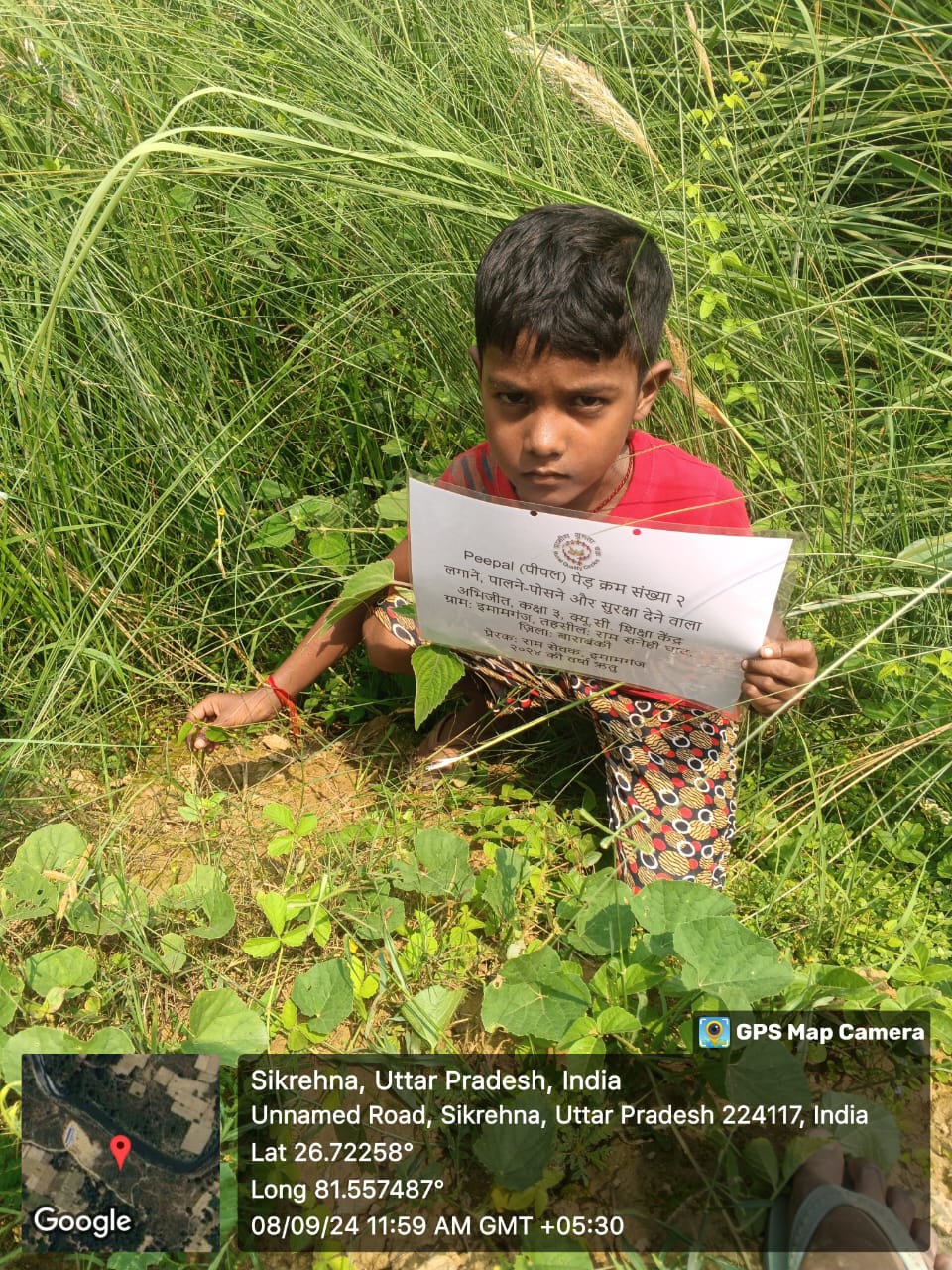 Peepal (पीपल) Tree Taken Care By: Abhijit