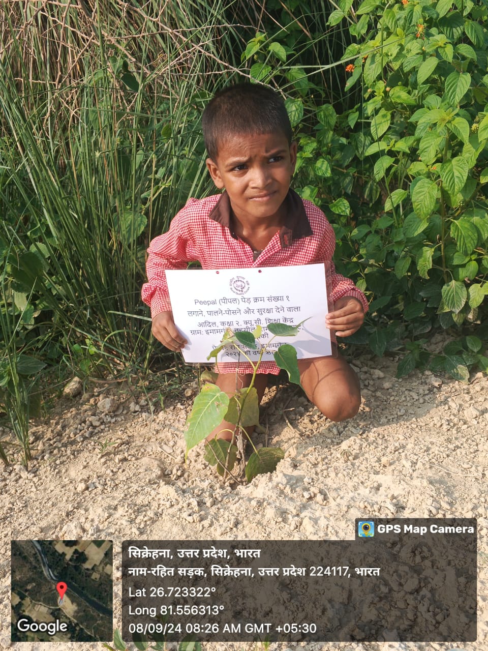 Peepal (पीपल) Tree Taken Care By: Adil