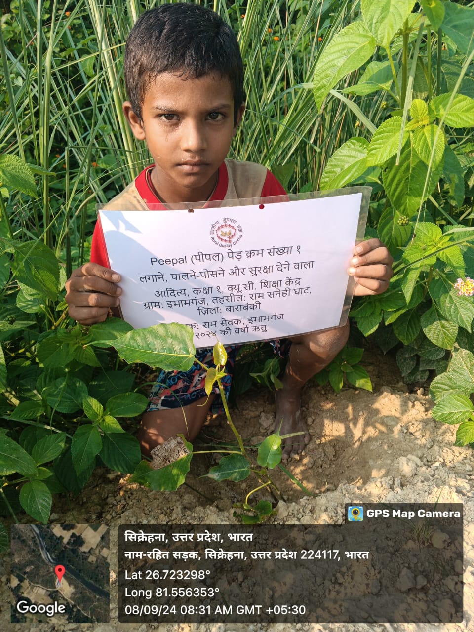 Peepal (पीपल) Tree Taken Care By: Aditya