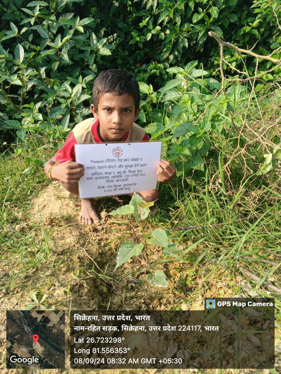 Peepal (पीपल) Tree Taken Care By: Aditya
