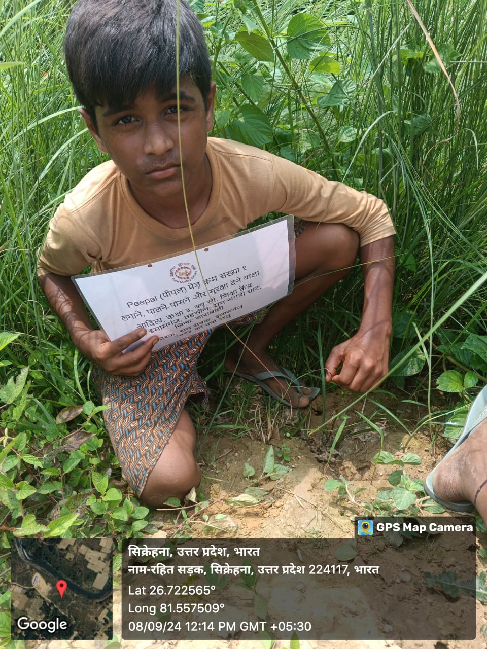 Peepal (पीपल) Tree Taken Care By: Aditya