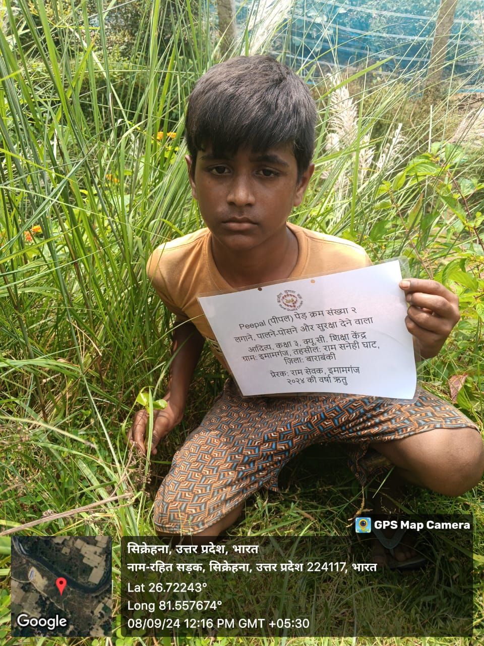 Peepal (पीपल) Tree Taken Care By: Aditya