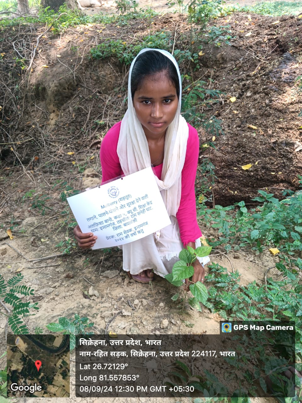 Mulberry (शहतूत) Tree Taken Care By: Alfisha Bano