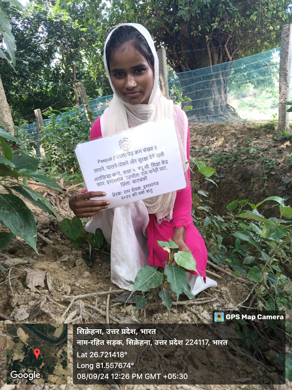 Peepal (पीपल) Tree Taken Care By: Alfisha Bano