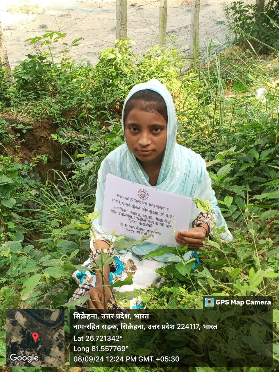 Peepal (पीपल) Tree Taken Care By: Anamika